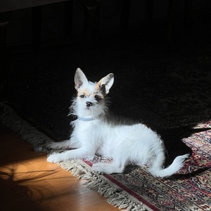 Fundraising Page: Mellen Minton